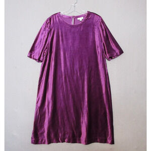 J Jill‎ Dress Large Purple Velvet Short Sleeve Shift Lagenlook Party NWT